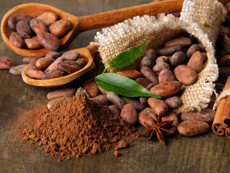 Best Cocoa Powder