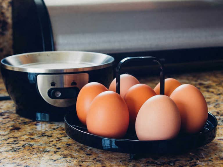 Best Egg Cookers