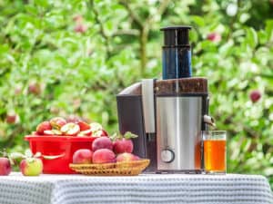 Best Masticating Juicers